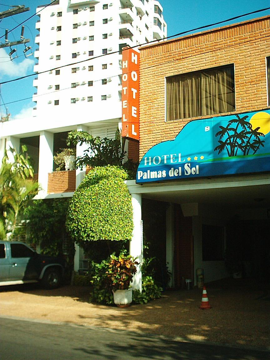 Hotel Palmas Del Sol أسونسيون المظهر الخارجي الصورة